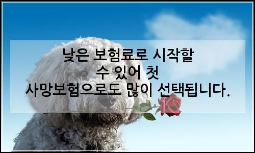 오늘의 이미지