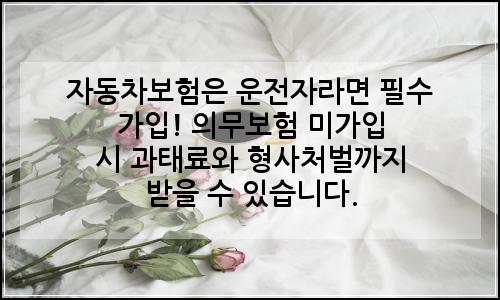 오늘의 이미지