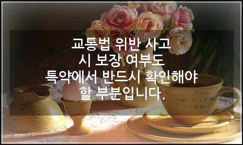 오늘의 이미지