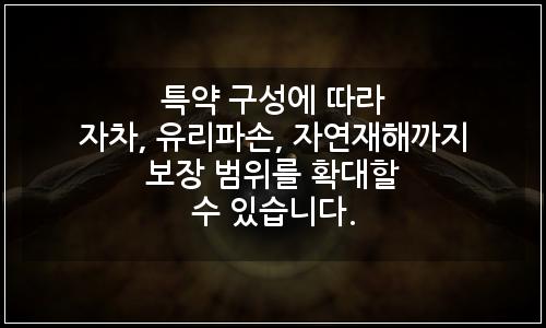 오늘의 이미지