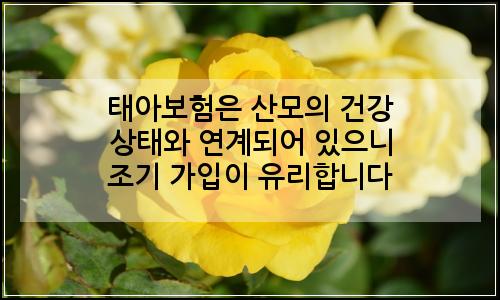 오늘의 이미지