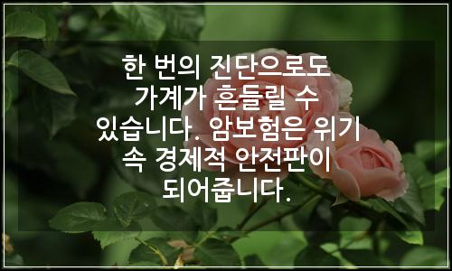 오늘의 이미지