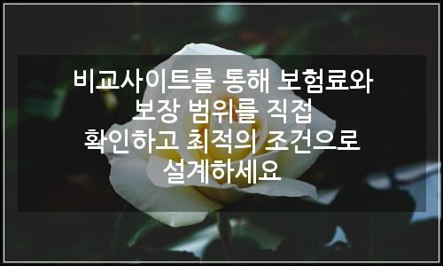 오늘의 이미지