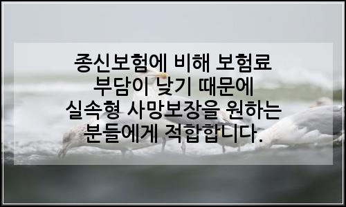 오늘의 이미지