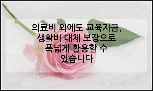 오늘의 이미지