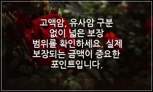 오늘의 이미지