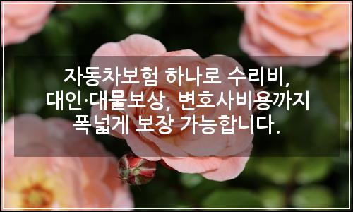 오늘의 이미지
