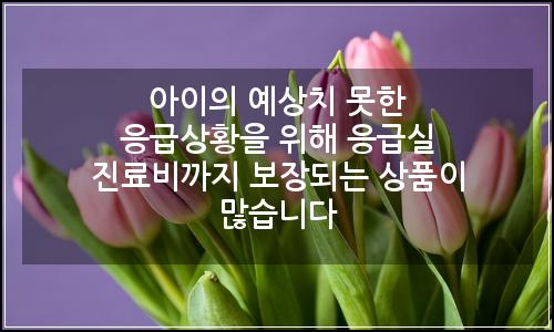 오늘의 이미지