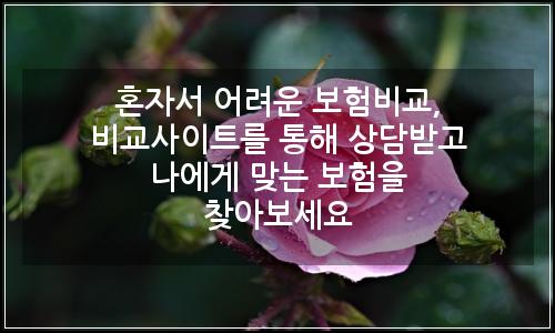 오늘의 이미지