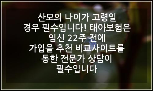 오늘의 이미지