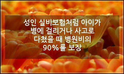 오늘의 이미지