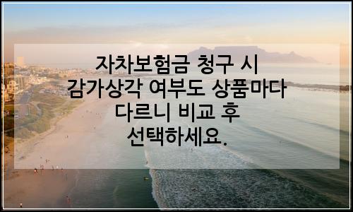 오늘의 이미지