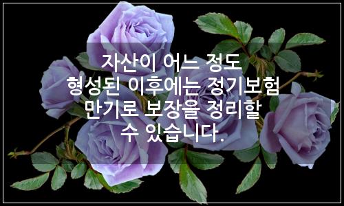 오늘의 이미지