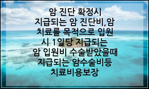 오늘의 이미지