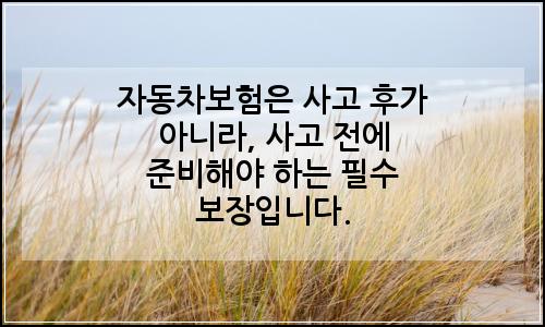 오늘의 이미지