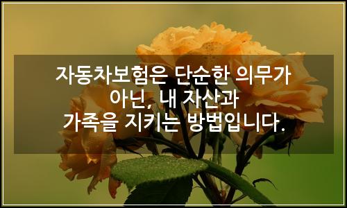 오늘의 이미지