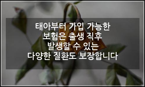 오늘의 이미지