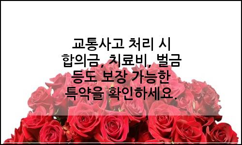 오늘의 이미지