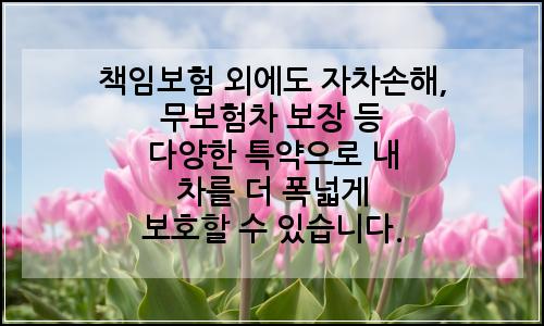 오늘의 이미지