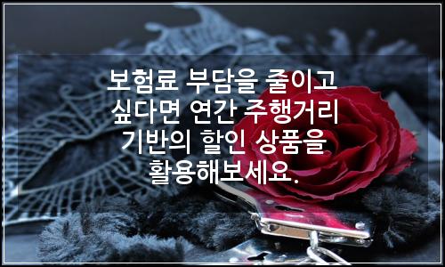 오늘의 이미지