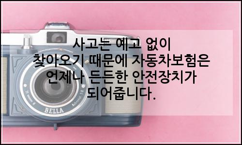 오늘의 이미지