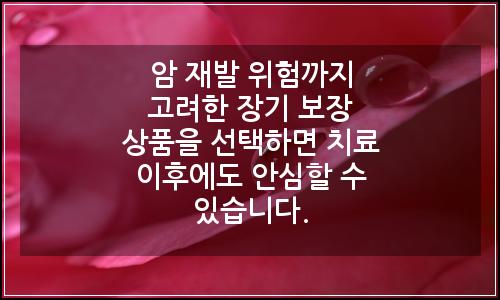 오늘의 이미지