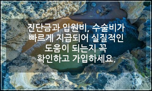 오늘의 이미지