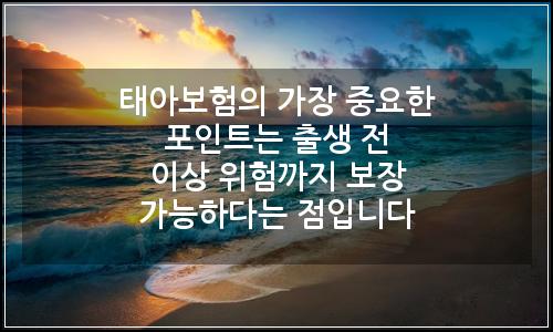 오늘의 이미지
