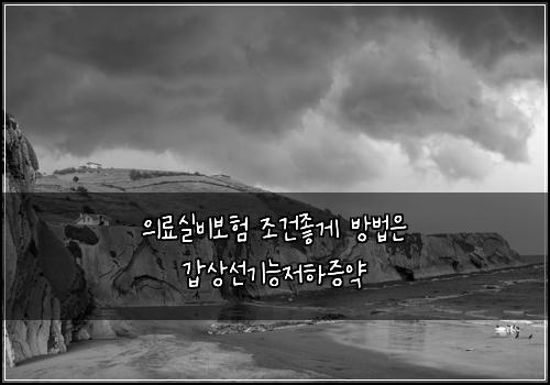 의료실비보험 조건좋게  방법은 갑상선기능저하증약