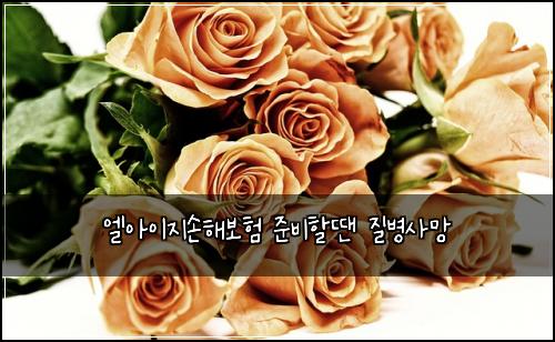엘아이지손해보험 준비할땐  질병사망