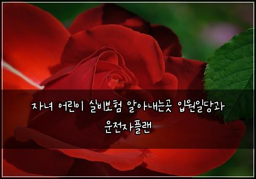 자녀 어린이 실비보험 알아내는곳  입원일당과 운전자플랜