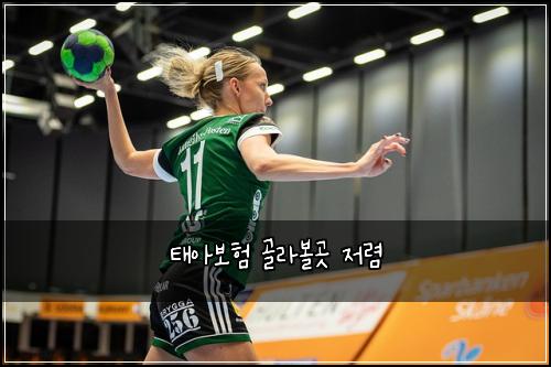 태아보험 골라볼곳  저렴