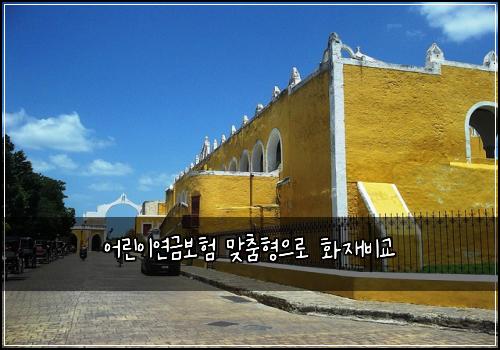 어린이연금보험 맞춤형으로  화재비교