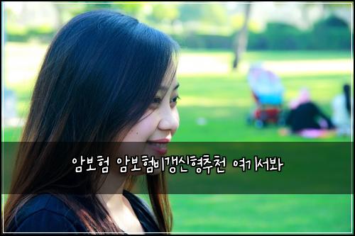 암보험 암보험비갱신형추천 여기서봐