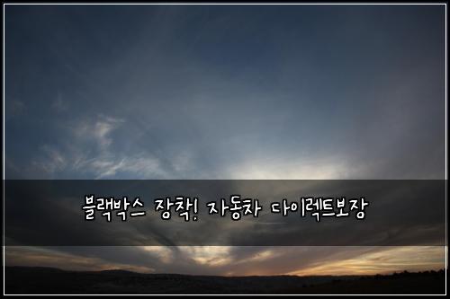 블랙박스 장착! 자동차 다이렉트보장