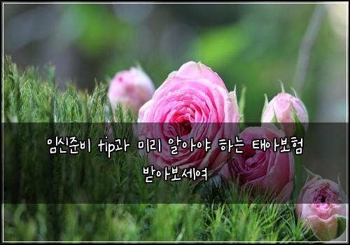 임신준비 tip과 미리 알아야 하는 태아보험 받아보세여 