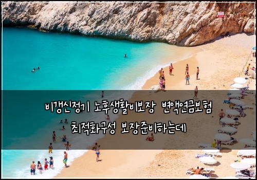 비갱신정기 노후생활비보장 변액연금보험 최적화구성  보장준비하는데
