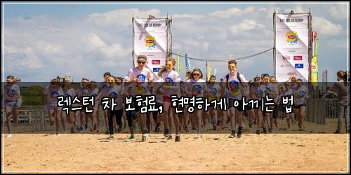 렉스턴 차 보험료, 현명하게 아끼는 법