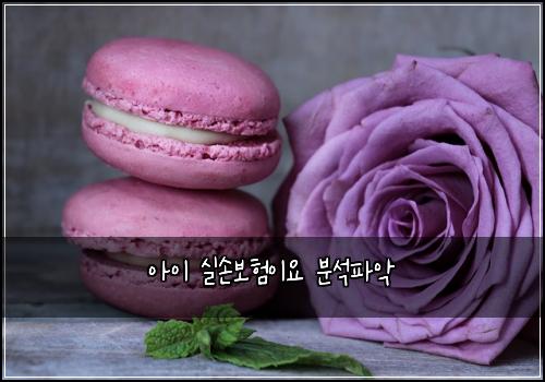 아이 실손보험이요 분석파악