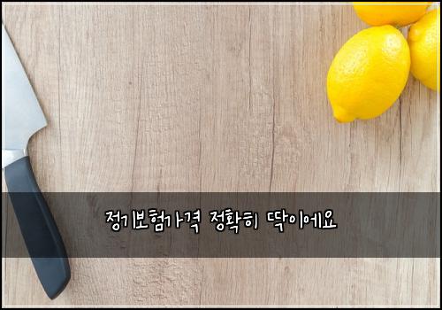 정기보험가격 정확히 딱이에요