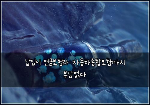 납입시 연금보험과 자동차종합보험까지 부담없다