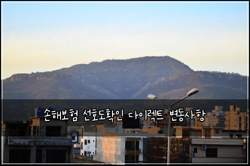 손해보험 선호도확인  다이렉트 변동사항