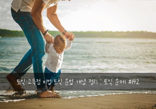 토익 고득점 비법 토익 문법 개념 정리 : 토익 문제 #142