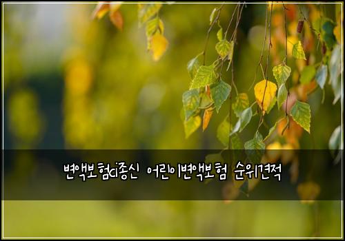 변액보험ci종신 어린이변액보험 순위견적