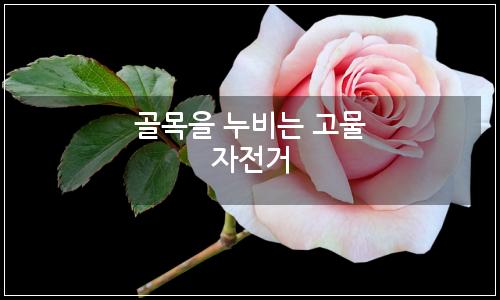 오늘의 이미지