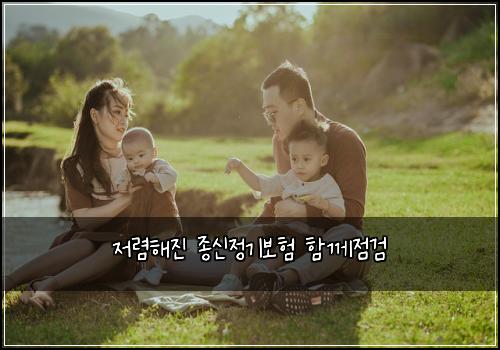 저렴해진 종신정기보험 함께점검 