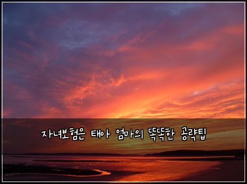 자녀보험은 태아 엄마의 똑똑한 공략팁