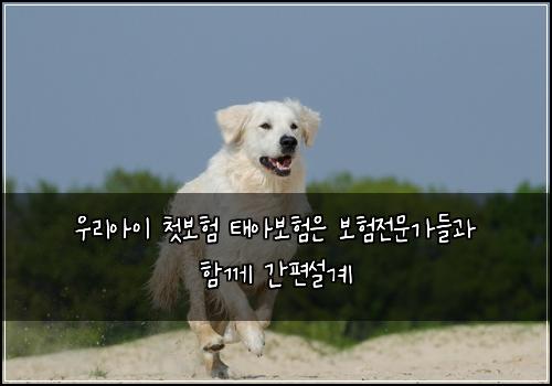 우리아이 첫보험 태아보험은 보험전문가들과 함께 간편설계