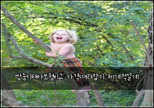 쌍둥이태아보험비교 가격때려잡기 체계적설계