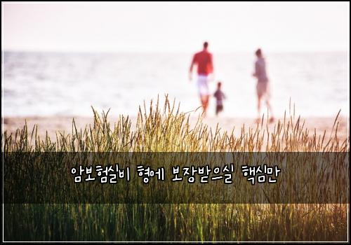 암보험실비 형에 보장받으실 핵심만
